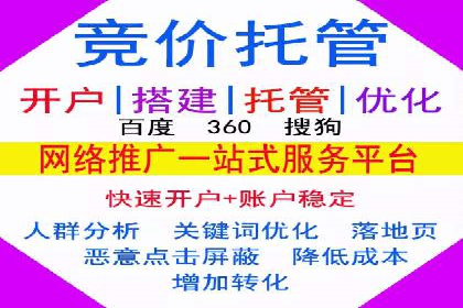 成功SEM托管代运营案例分析